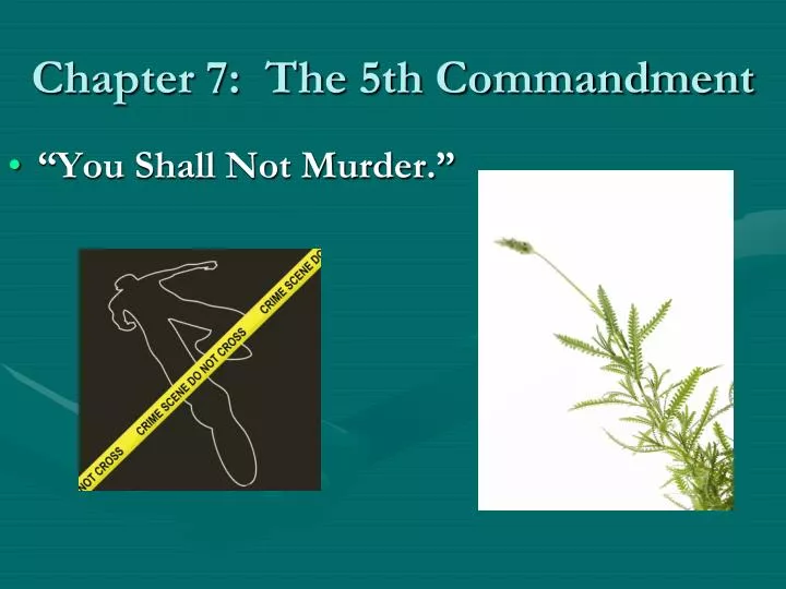 chapter 7 the 5th commandment
