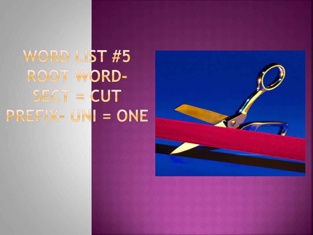 PPT - Word list #5 root word- sect = cut prefix- uni = one PowerPoint ...