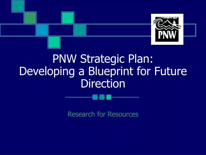 pnw strategic plan developing a blueprint for future direction