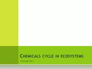 Chemicals cycle in ecosystems