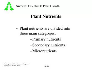 Plant Nutrients