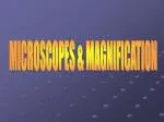 MICROSCOPES &amp; MAGNIFICATION - slide 1