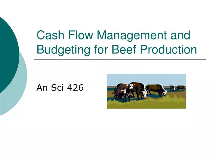 cash flow management and budgeting for beef production