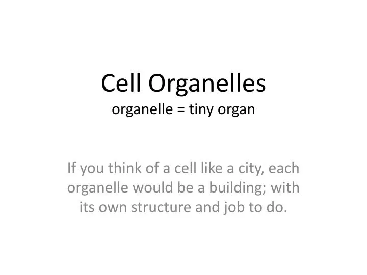 cell organelles organelle tiny organ