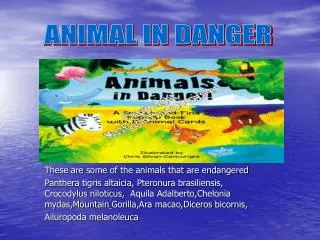 ANIMAL IN DANGER