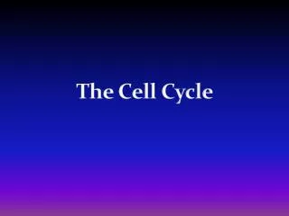 The Cell Cycle