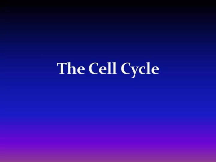 the cell cycle