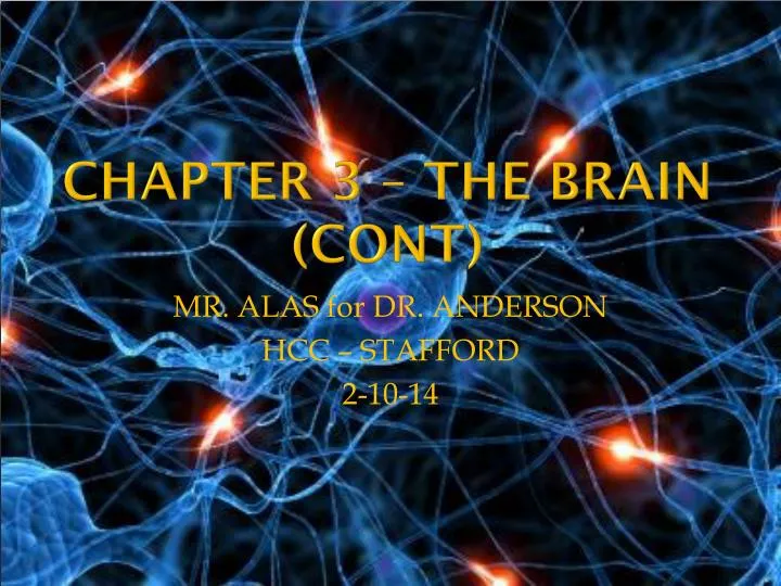 chapter 3 the brain cont