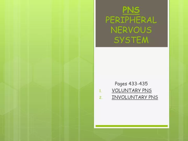 pns peripheral nervous system