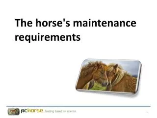 The horse's maintenance requirements