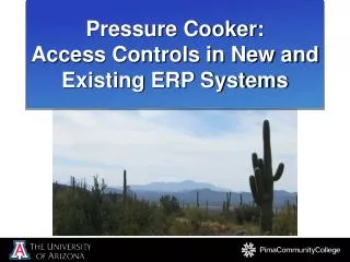 Pressure Cooker: Access Controls in New and Existing ERP Systems