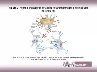 Figure 3 Potential therapeutic strategies to target pathogenic extracellular ??synuclein
