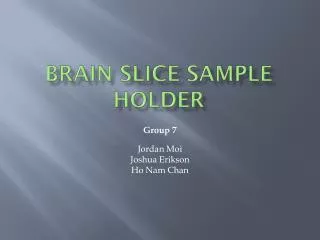 Brain Slice Sample Holder