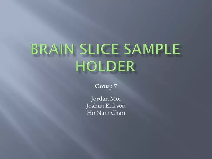 brain slice sample holder