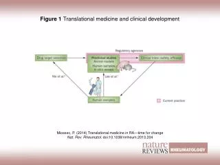 Figure 1 Translational medicine and clinical development