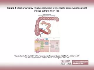 Figure 1 Mechanisms by which short-chain fermentable carbohydrates might induce symptoms in IBS