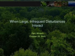 When Large, Infrequent Disturbances Interact