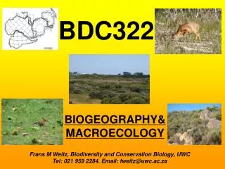 BIOGEOGRAPHY&amp; MACROECOLOGY