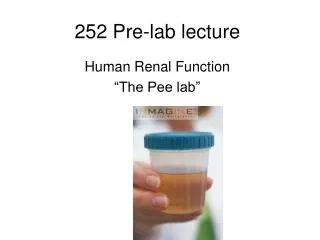 252 Pre-lab lecture