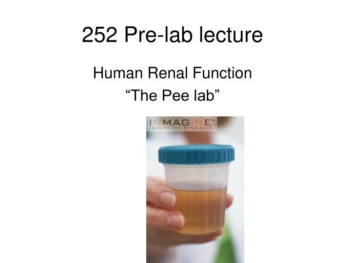 252 pre lab lecture