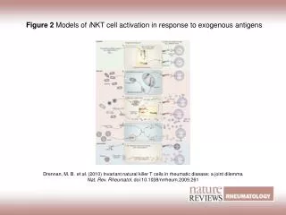 Figure 2 Models of i NKT cell activation in response to exogenous antigens