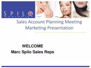 Sales Account Planning Meeting Marketing Presentation