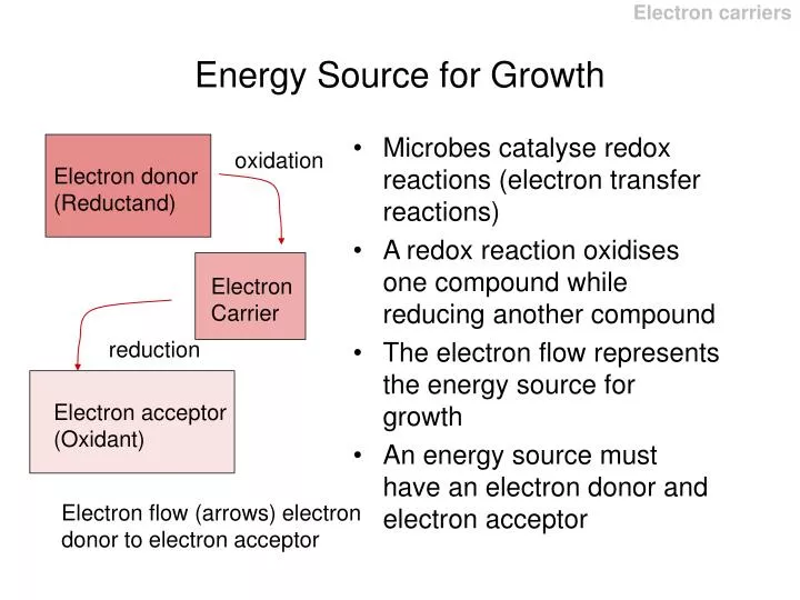 energy source for growth