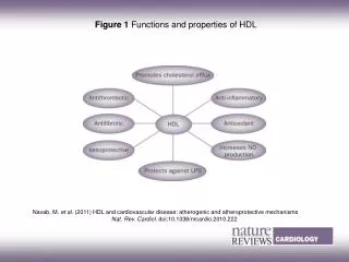 Figure 1 Functions and properties of HDL