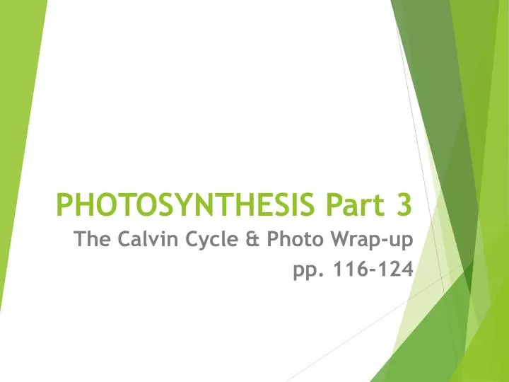 photosynthesis part 3