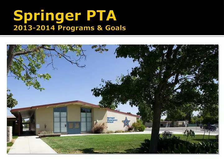 springer pta 2013 2014 programs goals