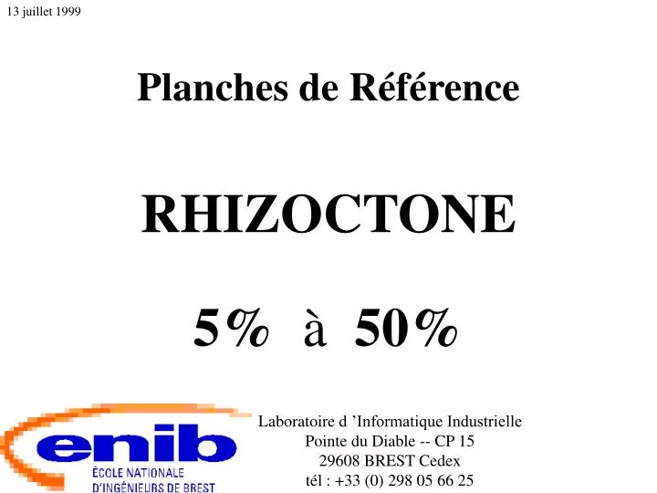 planches de r f rence rhizoctone 5 50