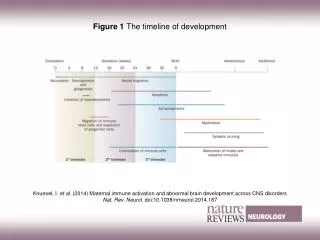 Figure 1 The timeline of development