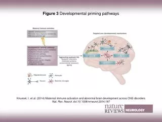 Figure 3 Developmental priming pathways