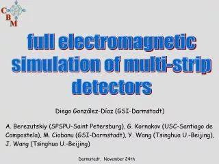 full electromagnetic simulation of multi-strip detectors