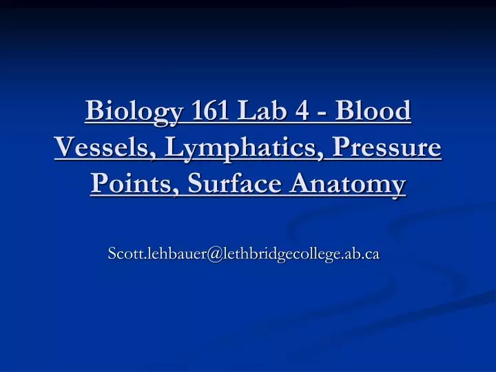 biology 161 lab 4 blood vessels lymphatics pressure points surface anatomy