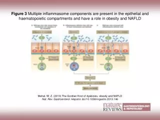 Mehal, W. Z. (2013) The Gordian Knot of dysbiosis, obesity and NAFLD