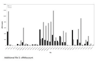 Additional file 5: sRNAscount