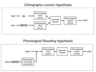 Semantic System