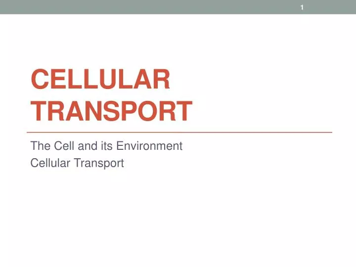 cellular transport