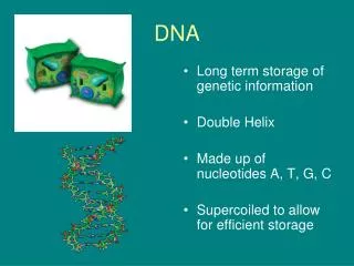 DNA