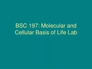 BSC 197: Molecular and Cellular Basis of Life Lab