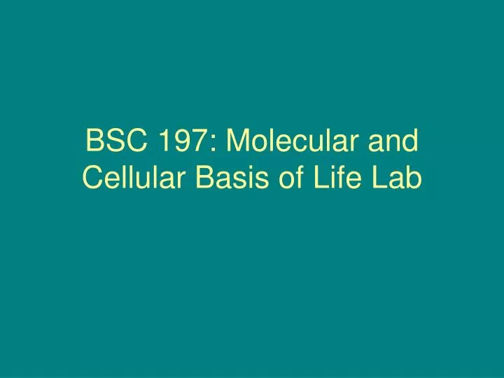 bsc 197 molecular and cellular basis of life lab