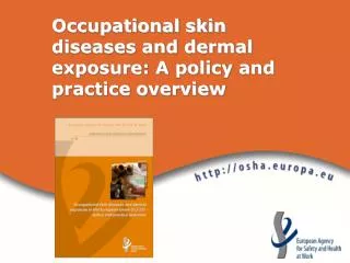 Occupational skin diseases and dermal exposure: A policy and practice overview