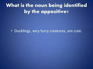 What is the noun being identified by the appositive?