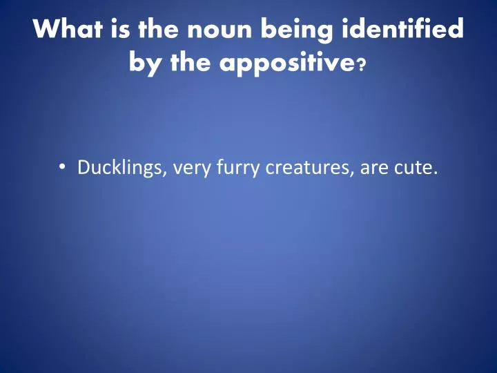 what is the noun being identified by the appositive