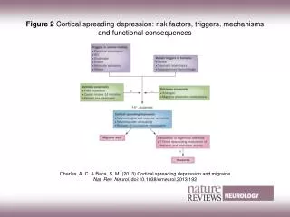 Charles, A. C. &amp; Baca, S. M. (2013) Cortical spreading depression and migraine