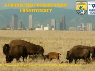 A Connected Conservation Constituency