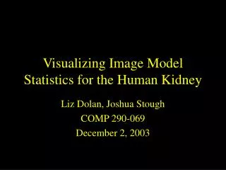 Visualizing Image Model Statistics for the Human Kidney