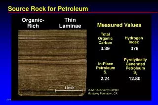 Source Rock for Petroleum