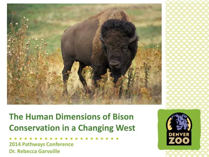 the human dimensions of bison conservation in a changing west
